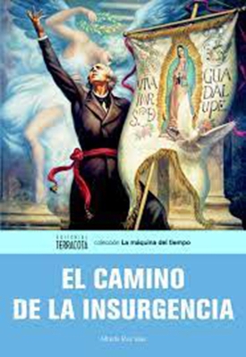 El camino de la insurgencia book