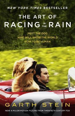 The The Art of Racing in the Rain by Garth Stein