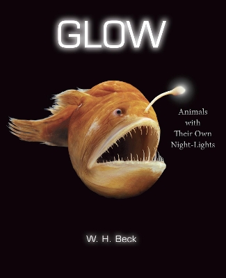 Glow book