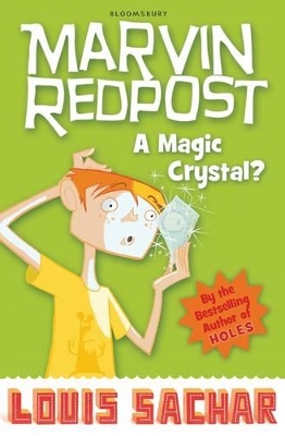A Magic Crystal? book