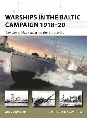 Warships in the Baltic Campaign 1918–20: The Royal Navy takes on the Bolsheviks book