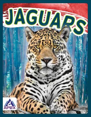 Wild Cats: Jaguars by Sophie Geister-Jones