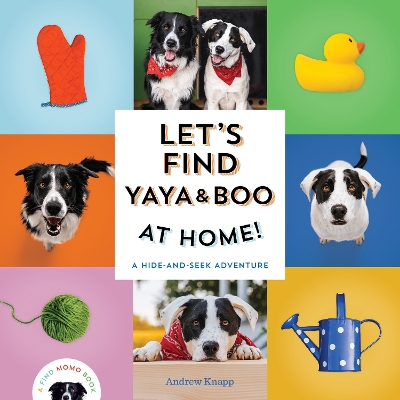 Let's Find Yaya and Boo at Home! : A Hide-and-Seek Adventure  book