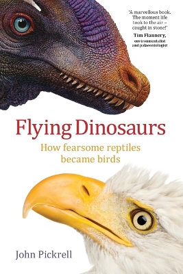 Flying Dinosaurs by John Pickrell