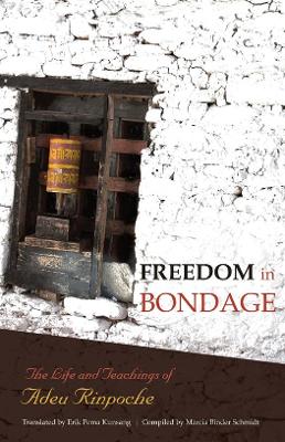 Freedom In Bondage book