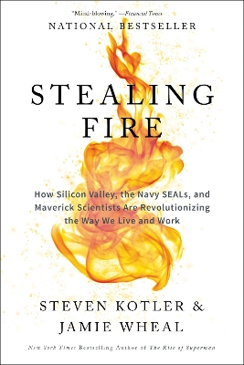 Stealing Fire book