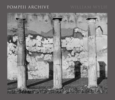 Pompeii Archive book