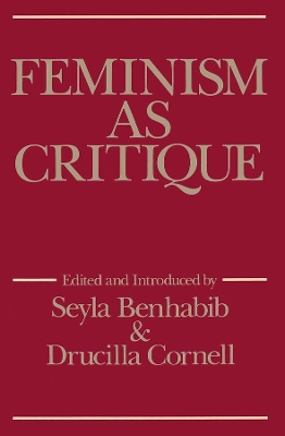 Feminism as Critique book