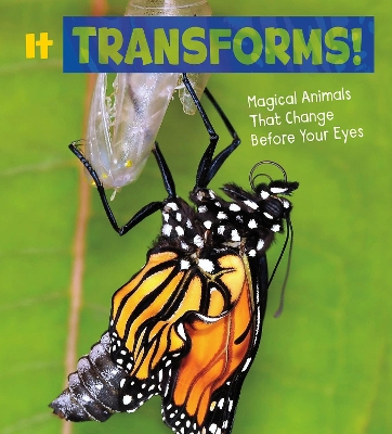 It Transforms!: Magical Animals That Change Before Your Eyes by Nikki Potts