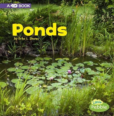 Ponds by Erika L Shores