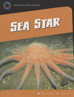 Sea Star by Susan H Gray
