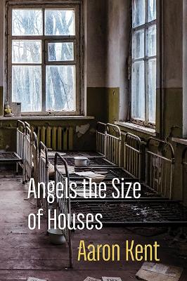 Angels the Size of Houses book