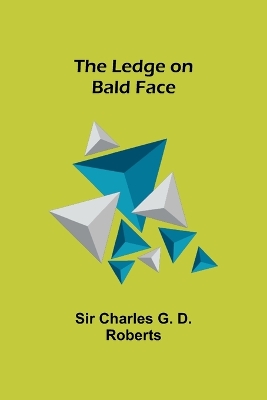 The Ledge on Bald Face book