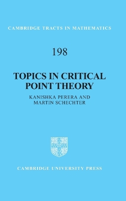 Topics in Critical Point Theory book