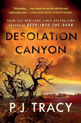 Desolation Canyon: A Mystery book