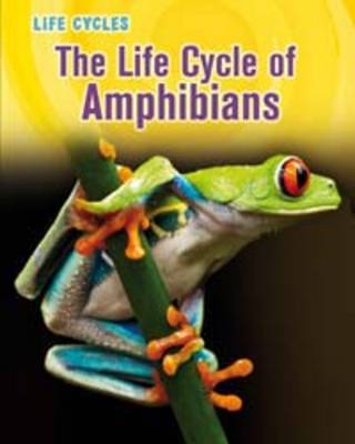 The Life Cycle of Amphibians by Darlene R Stille