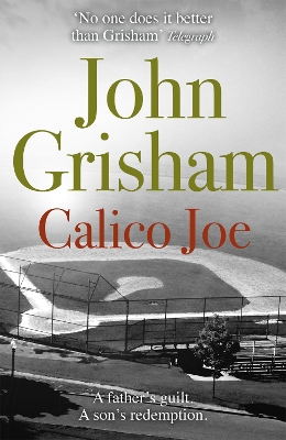 Calico Joe book