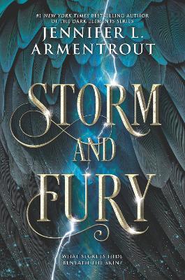 Storm and Fury book