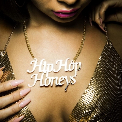 Hip Hop Honeys book