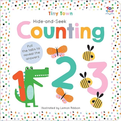 Hide-and-Seek Counting book