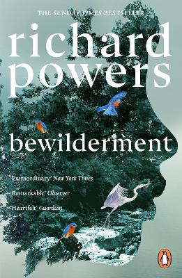 Bewilderment book