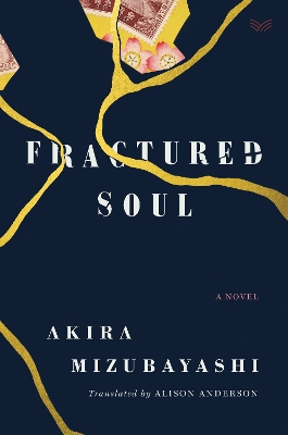 Fractured Soul: A Novel book