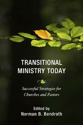 Transitional Ministry Today book