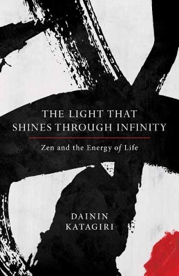 Light That Shines Through Infinity book