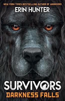 Survivors Book 3: Darkness Falls book