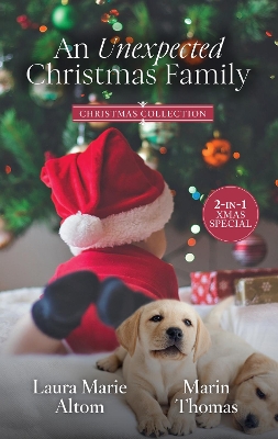 An Unexpected Christmas Family/The Cowboy SEAL's Jingle Bell Baby/The Surgeon's Christmas Baby book