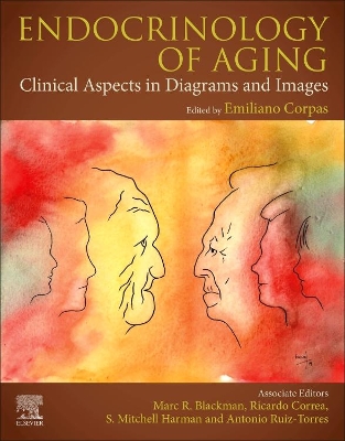 Endocrinology of Aging: Clinical Aspects in Diagrams and Images book