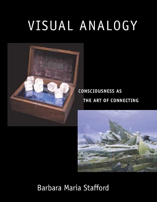 Visual Analogy book