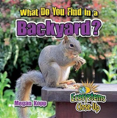 What Do You Find in a Backyard? by Megan Kopp