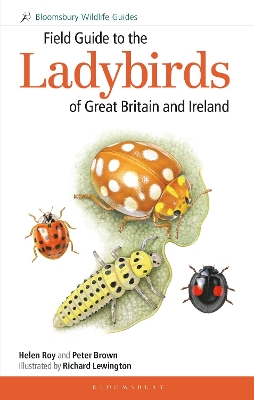 Field Guide to the Ladybirds of Great Britain and Ireland by Helen Roy