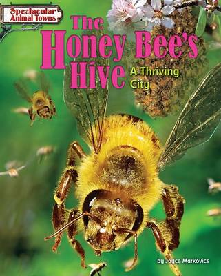 Honey Bee's Hive by Joyce L Markovics