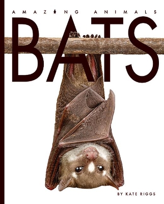 Amazing Animals: Bats book