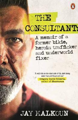 The Consultant book