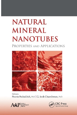 Natural Mineral Nanotubes: Properties and Applications book