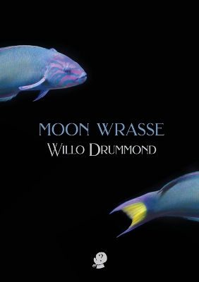 Moon Wrasse book