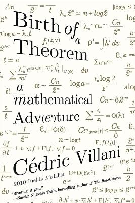 Birth of a Theorem: A Mathematical Adventure book