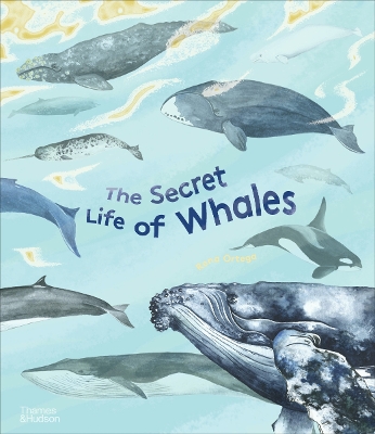 The Secret Life of Whales book