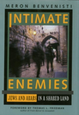 Intimate Enemies book