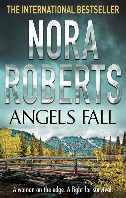 Angels Fall book