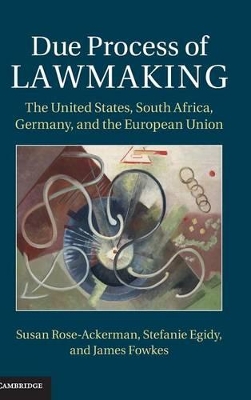 Due Process of Lawmaking book