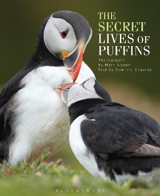 The Secret Lives of Puffins book