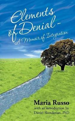 Elements of Denial - A Memoir of Integration: With an introduction by Daniel Skenderian, PhD book