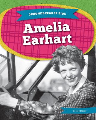 Amelia Earhart book