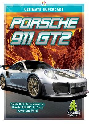 Porsche 911 GT2 book