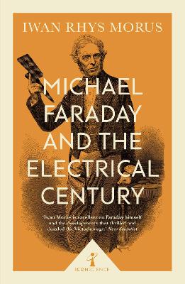 Michael Faraday and the Electrical Century (Icon Science) book