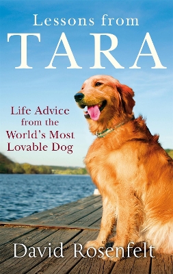 Lessons from Tara book